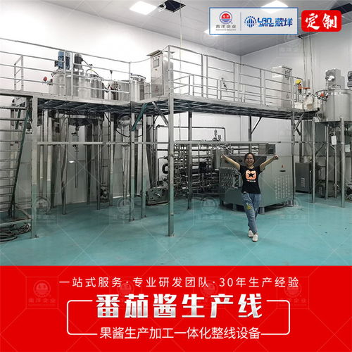 廣州南洋食品機(jī)械 全領(lǐng)域?qū)Ｓ迷O(shè)備典范——果醬生產(chǎn)線與塑料加工技術(shù)的深度融合